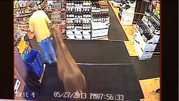 Bajs, Polis, Spritbutik, Ponny